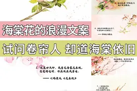 描写海棠花的文案| 试问卷帘人 却道“海棠”依旧图片
