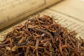 口苦、口黏？龙胆泻肝丸送给你图片