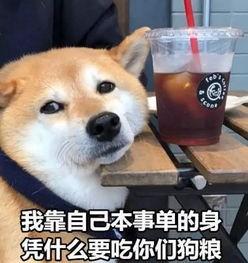 ˽ˣϷλԶô