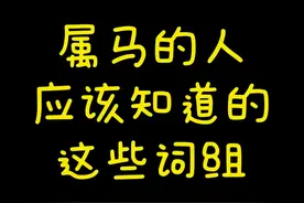 属马的人应该知道的这些英文短语图片