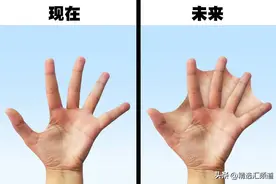 随着时间的推移，7个人体部位可能发生的进化结果图片