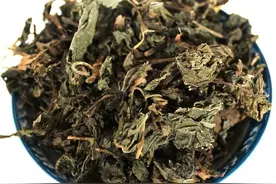 全身是宝话紫苏图片