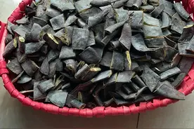 皂角真的能防脱发么？图片