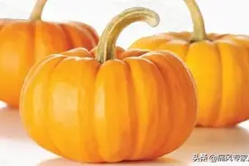 这几种食物有助于排尿酸，痛风患者建议收藏图片