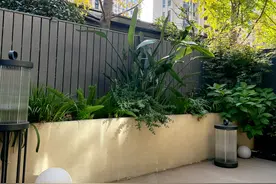 谁说一楼不能买？花5万元，打造个30㎡一楼小花园，太舒服了图片