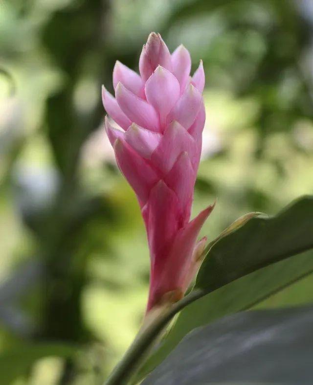 初夏一刻 藍天的藍似海 白雲的白若棉 唯美詩歌 朝陽網