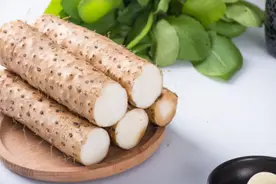 山药种植管理技术，山药催芽育苗方法，你知道多少？图片