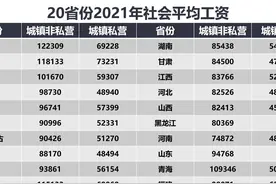 20省份公布社会平均工资，涨了多少？养老金能涨多少？图片