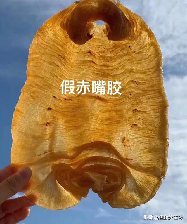赤嘴鳘鱼胶真假 2026年赤嘴鱼胶的口感