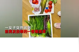 上海一女子收到分手1年前任投食，看到整箱蔬菜后自嘲：不会做饭图片