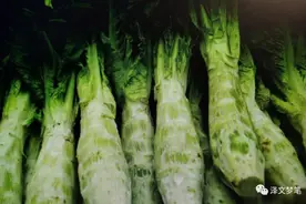 吃莴笋生熟皆可图片