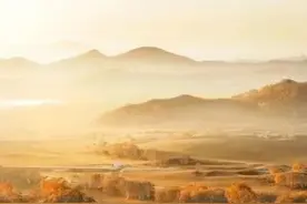 五诗人高咏大雁塔：一场严肃的政治敏锐性和诗艺水平考试（1）图片