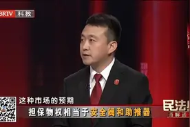 民法典中“担保物权”的规定｜BRTV《民法典通解通读》图片