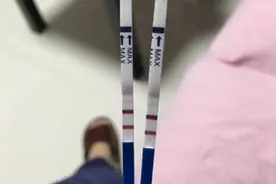 胎儿啥时候开始成为真正意义上的小宝宝？看看胎儿的发育情况秒懂图片