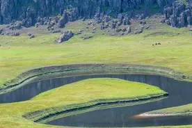 河流的秘密：连通性与生物多样性，你真的了解吗？图片