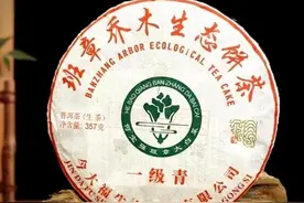 同一饼普洱茶为什么有时候好喝有时候难喝？今大福一级青评测启示图片