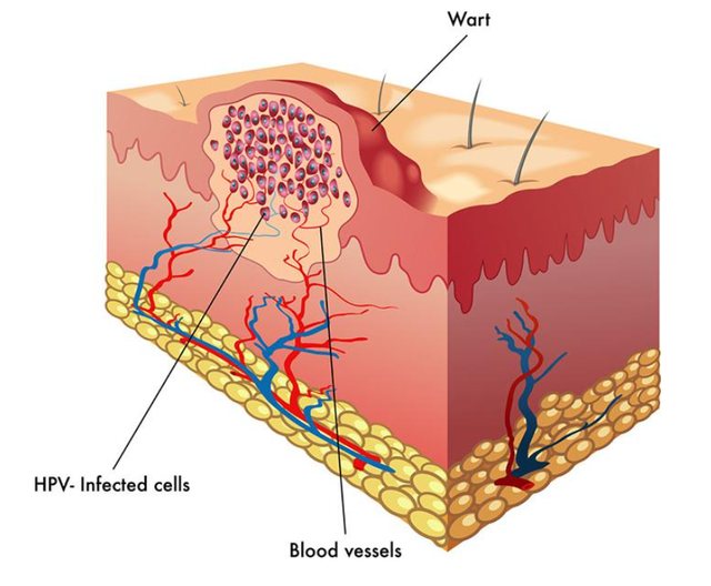 �������������٣�һ�����ͻ�Ī���������ǳ��������ǽ������ƣ�