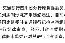 权威发布 | 刘志刚接受审查调查图片