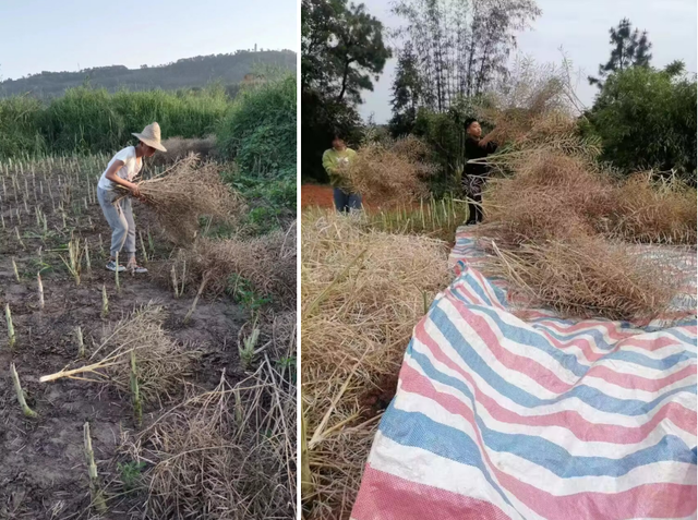 四川省民生研究会新媒体中心-官网