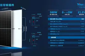 天合光能张映斌：组件尺寸统一是光伏行业提效的必由之路图片