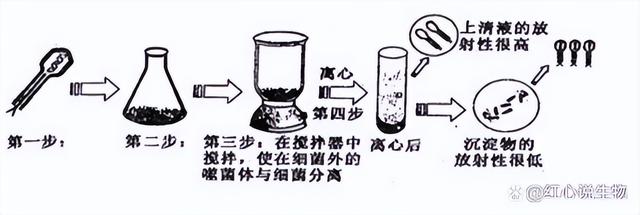 高中生物-基因的本质与表达