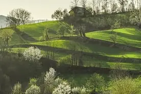 【散文】七星山小记‖蒋德均图片