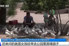 7岁女童喂鸽子后呕吐抽搐住进ICU！医生：脑膜炎图片