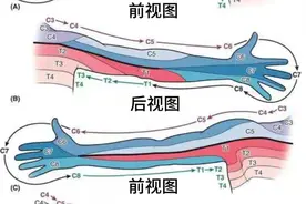 身体不同部位的疼痛对应不同的病症，您中了哪几个？图片