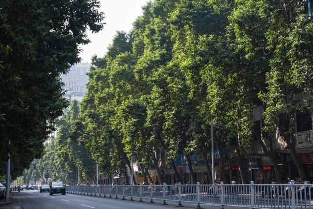 点进来,get一份属于肇庆的浪漫!