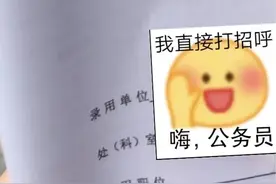 省考公务员揭秘：体制内不好找对象？面临的难题与应对策略图片