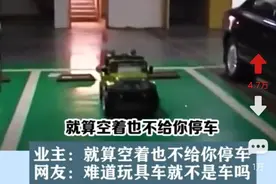 自家车位放玩具车占位惹邻居不满，要求共享！人心不足蛇吞象图片
