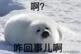 医院里的“悲情母女”诈骗超150万！专挑大医院下手，原因太离谱图片