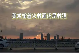 美术馆着火，救猫还是救画？图片