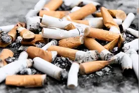 香烟里的尼古丁并不致癌，吸烟有害健康是错的？今天告诉您真相图片