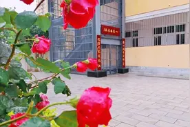 八角楼中心学校：书山有路勤为径，笔墨留香写青春图片