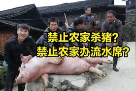 禁杀自家猪、禁办流水席？“农管”管得太宽？还是官方另有隐情？图片