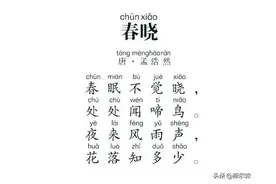 一年级《语文》下册古诗——春晓图片