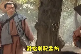 施恩战死，武松为何大哭一场？图片