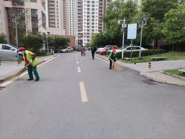 东湖新技术开发区豹澥街分类专班黄金堂社区开展清洁家园活动