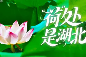 “荷”处是湖北图片