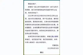 腾讯QQ空间游戏花藤将停运 服务器关闭时间定了图片