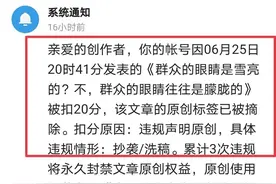 悲催！我竟然由被抄袭者变成了“抄袭者”，而且无处申冤图片