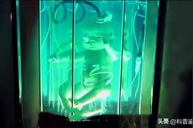 人造子宫的原理是什么？机器代替人类生孩子，未来真的可行吗？图片