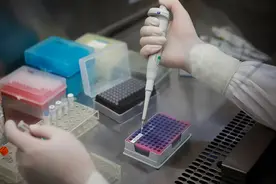 核酸退场，新一波“割韭菜”的又来了，历史总是惊人的相似图片