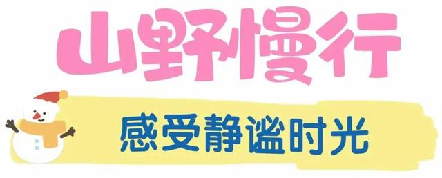 目测要火！烟台这座小城最近好看得离谱