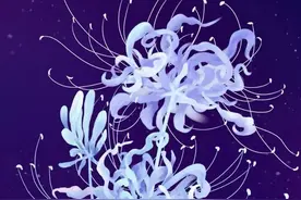 全屏彼岸花壁纸图片