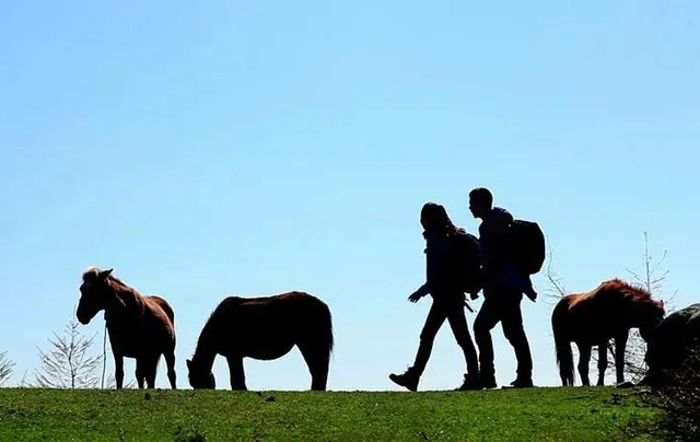 四川省民生研究会新媒体中心-官网