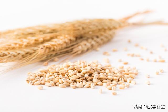 汉字节气：“芒种”也“忙”也“亡”，理解“芒”字思维表达