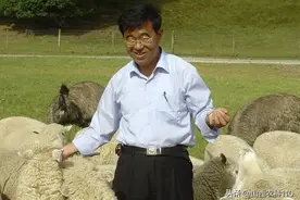 冬季养羊常见问题及应对措施图片