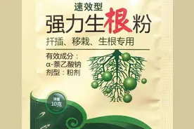 生根粉的作用和使用方法，原来还有这么多讲究，种植花草必看图片